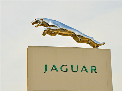 Jaguar 标志